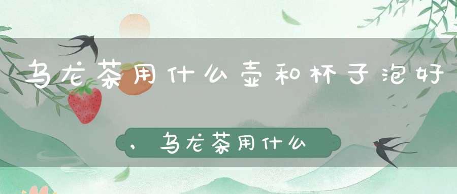 乌龙茶用什么壶和杯子泡好,乌龙茶用什么壶和杯子泡最好