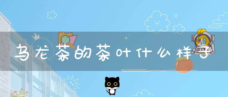 乌龙茶的茶叶什么样子