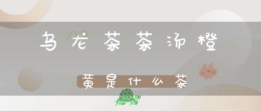 乌龙茶茶汤橙黄是什么茶