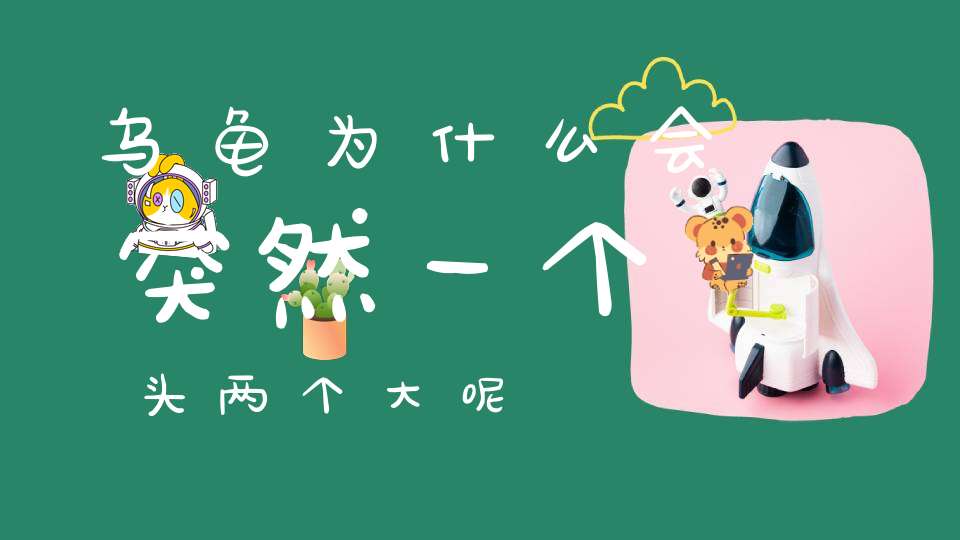 乌龟为什么会突然一个头两个大呢