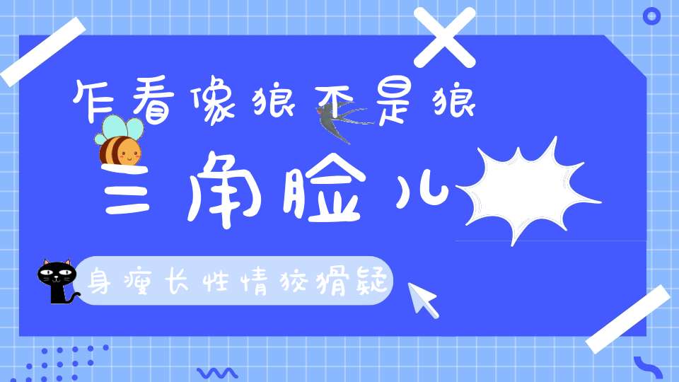 乍看像狼不是狼，三角脸儿身瘦长，性情狡猾疑心重，毛色棕黄尾巴长。 （猜一动物）