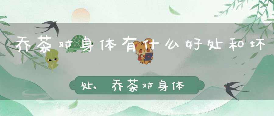 乔茶对身体有什么好处和坏处,乔茶对身体有什么好处吗