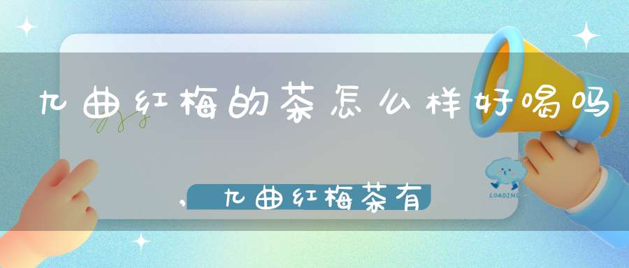 九曲红梅的茶怎么样好喝吗,九曲红梅茶有什么作用