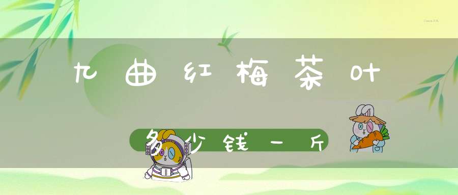 九曲红梅茶叶多少钱一斤