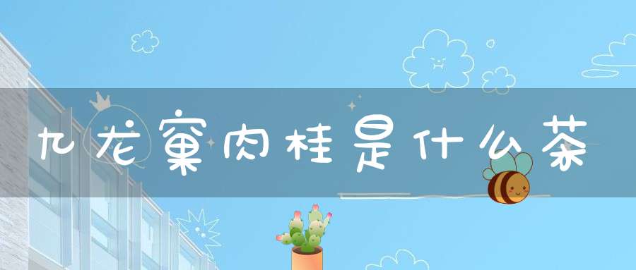 九龙窠肉桂是什么茶