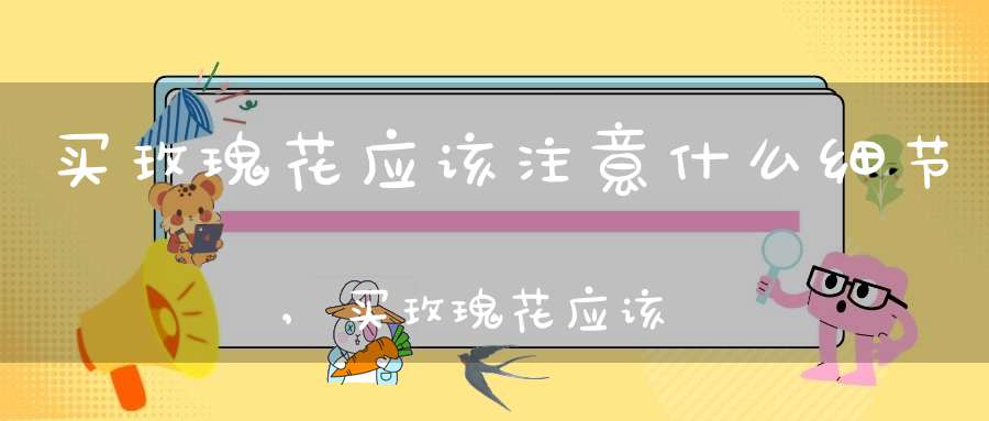 买玫瑰花应该注意什么细节,买玫瑰花应该注意什么事项