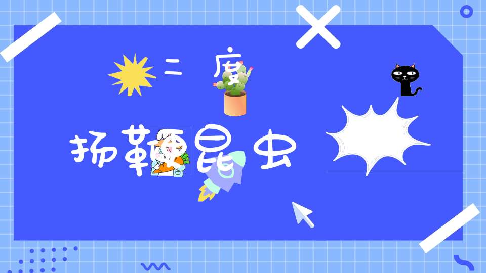 二度扬鞭  昆虫
