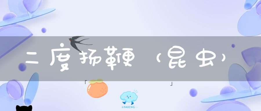 二度扬鞭（昆虫）