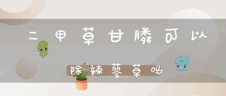 二甲草甘膦可以除辣蓼草吗？