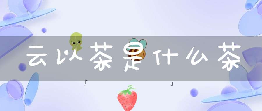 云以茶是什么茶