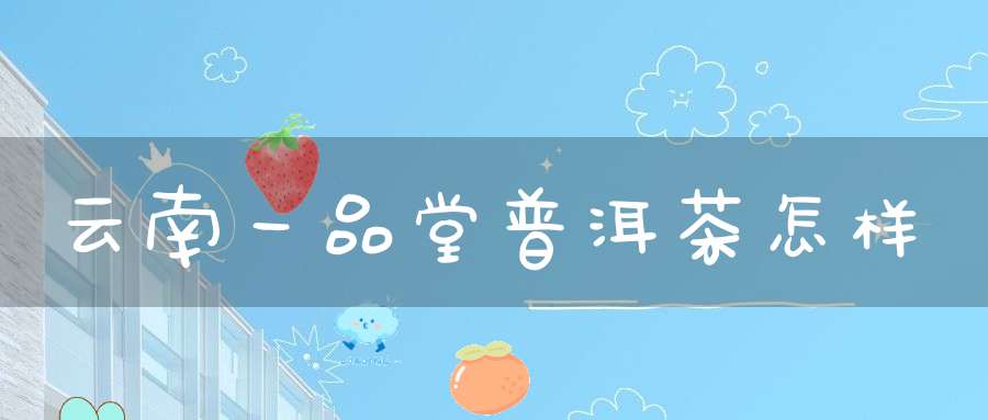 云南一品堂普洱茶怎样