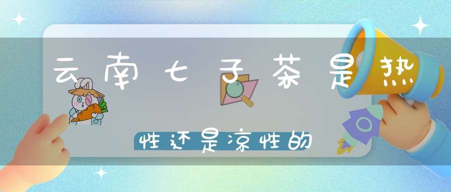 云南七子茶是热性还是凉性的