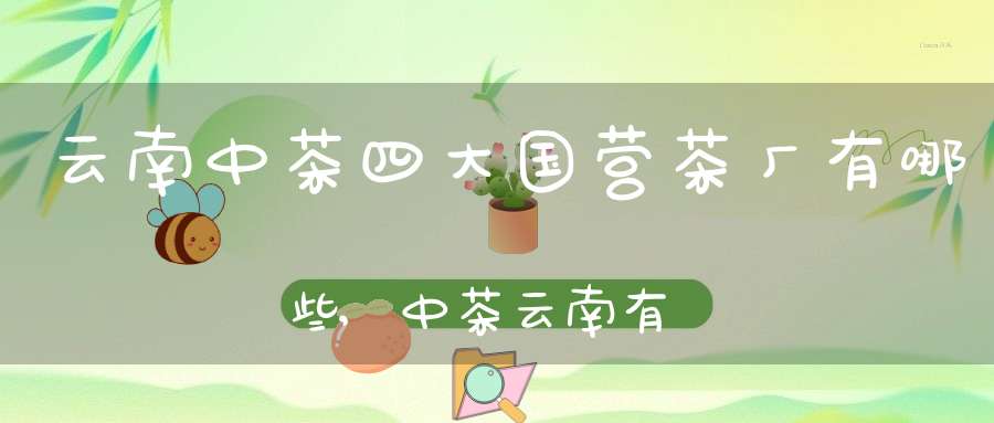 云南中茶四大国营茶厂有哪些,中茶云南有几个厂