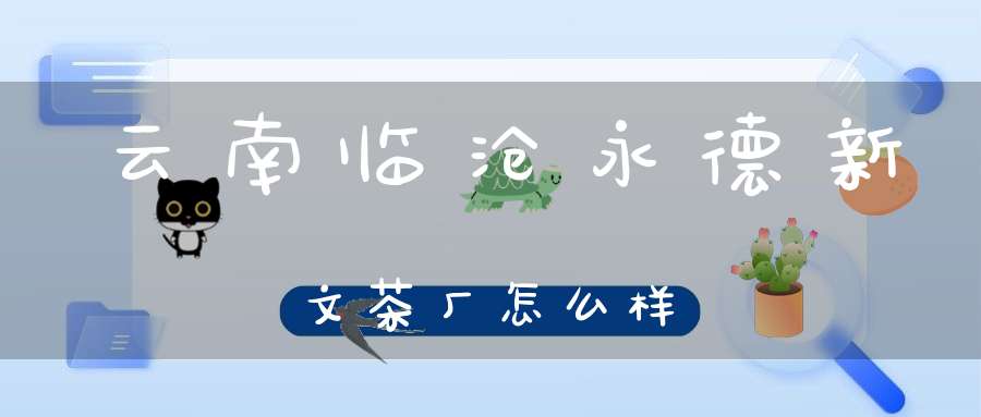 云南临沧永德新文茶厂怎么样