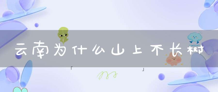 云南为什么山上不长树