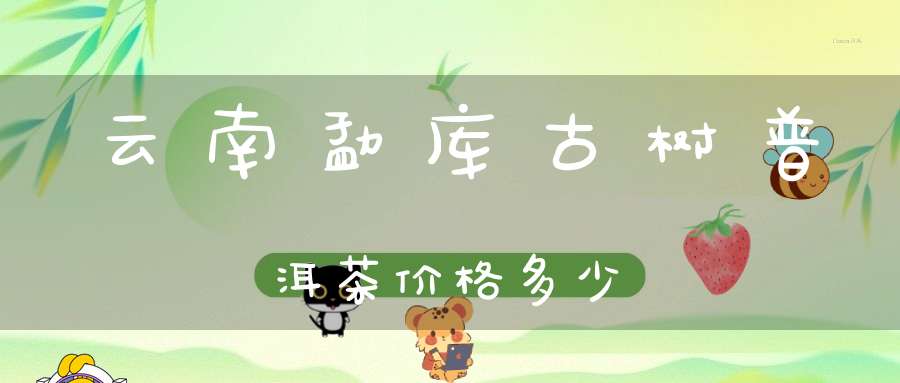 云南勐库古树普洱茶价格多少