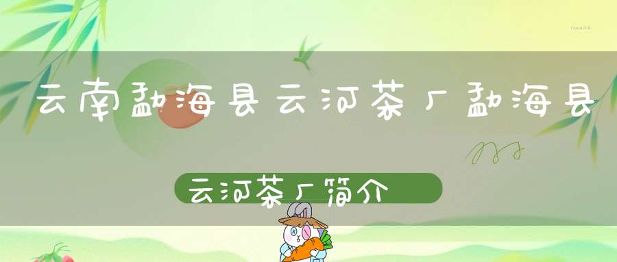 云南勐海县云河茶厂勐海县云河茶厂简介