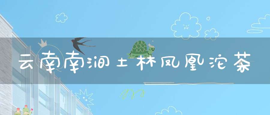 云南南涧土林凤凰沱茶