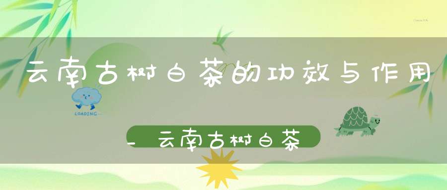 云南古树白茶的功效与作用_云南古树白茶的功效副作用