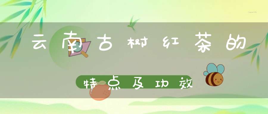 云南古树红茶的特点及功效