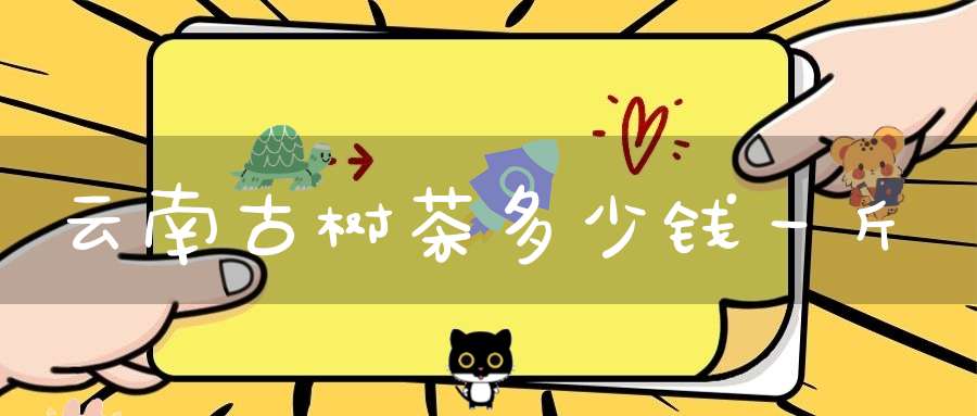 云南古树茶多少钱一斤