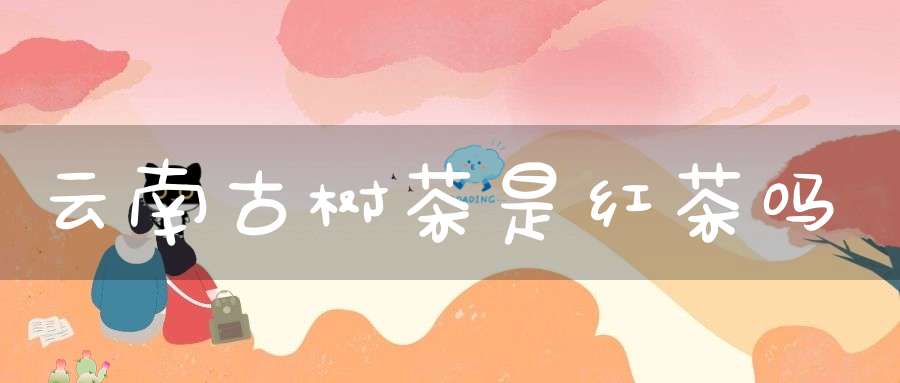 云南古树茶是红茶吗?