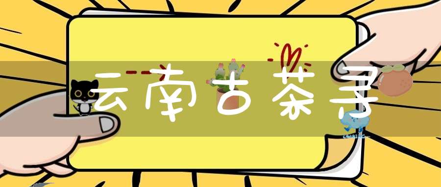 云南古茶寻