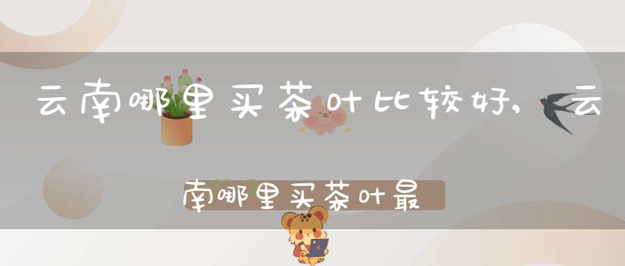 云南哪里买茶叶比较好,云南哪里买茶叶最好