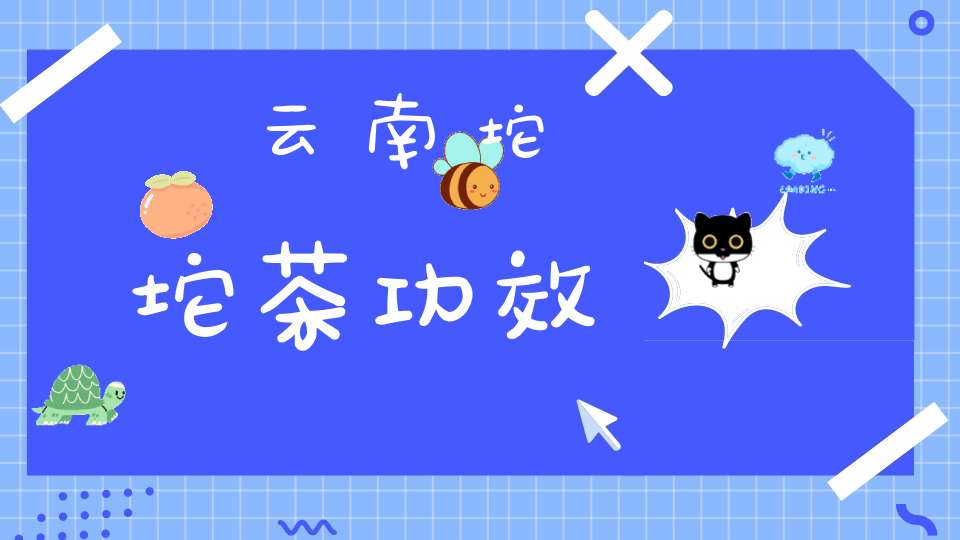 云南坨坨茶功效
