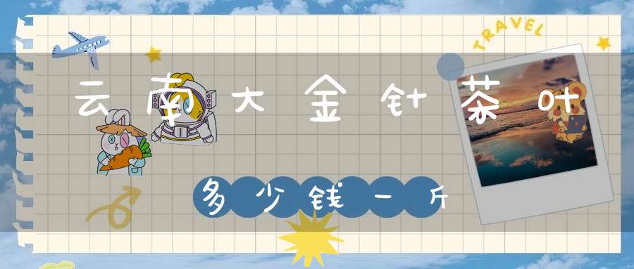 云南大金针茶叶多少钱一斤