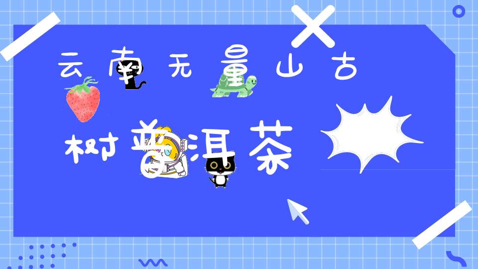 云南无量山古树普洱茶