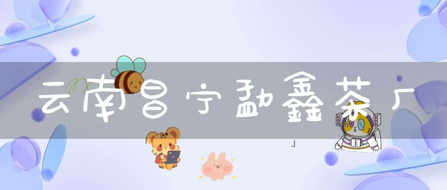 云南昌宁勐鑫茶厂