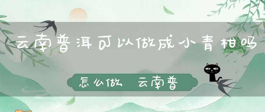 云南普洱可以做成小青柑吗怎么做,云南普洱小青柑怎么泡着喝