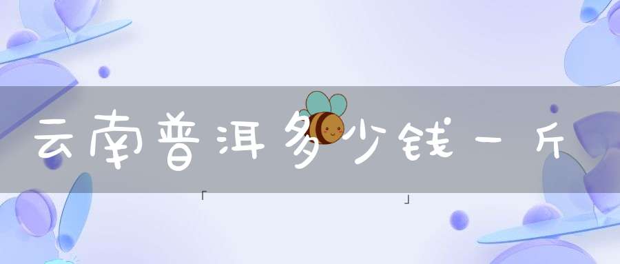 云南普洱多少钱一斤