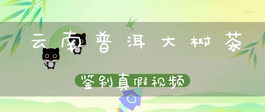 云南普洱大树茶鉴别真假视频