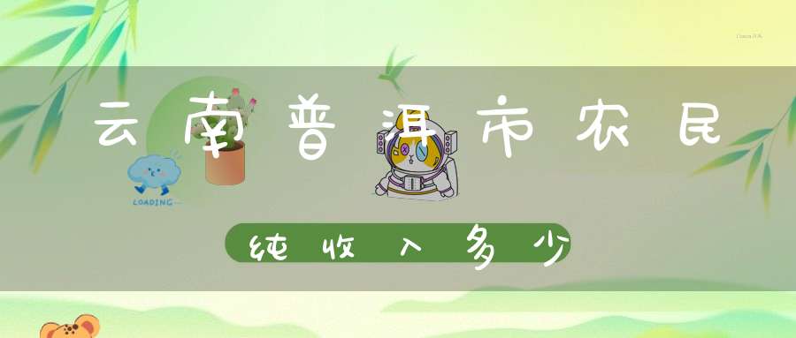 云南普洱市农民纯收入多少