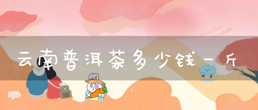 云南普洱茶多少钱一斤
