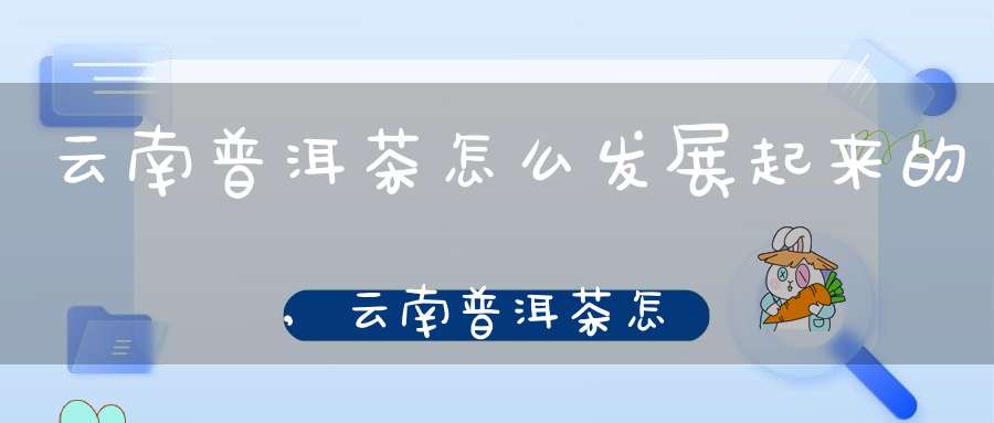云南普洱茶怎么发展起来的,云南普洱茶怎么发展的