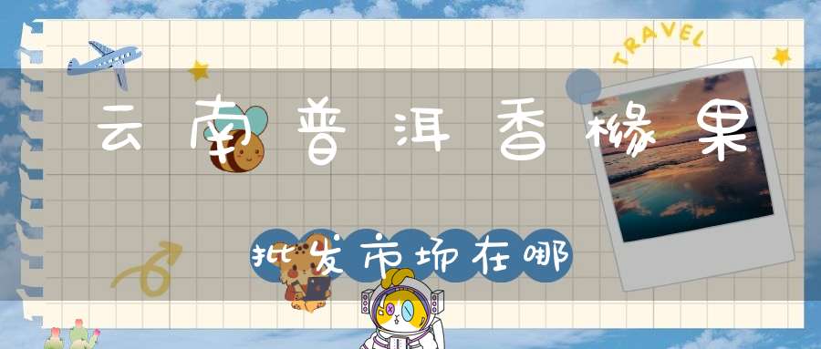 云南普洱香橼果批发市场在哪