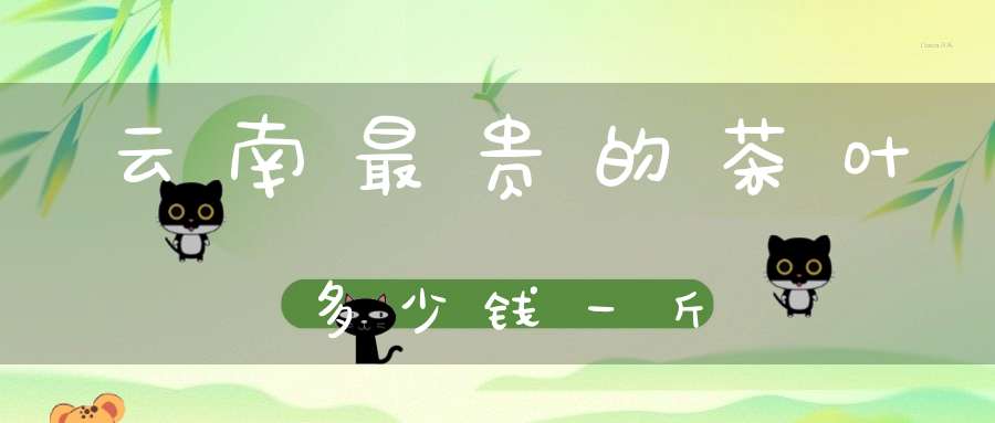 云南最贵的茶叶多少钱一斤