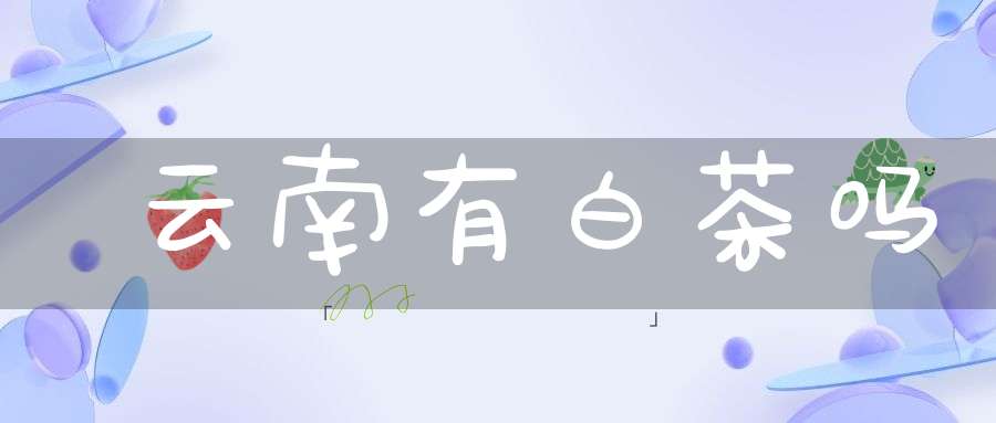 云南有白茶吗