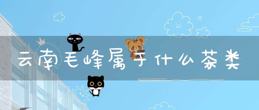 云南毛峰属于什么茶类