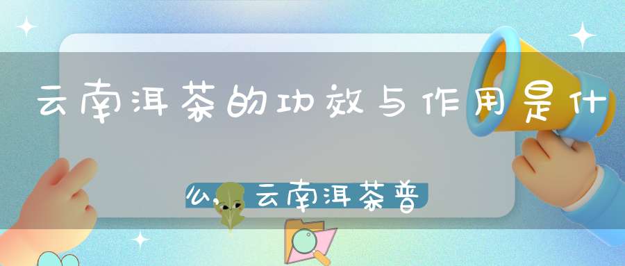 云南洱茶的功效与作用是什么,云南洱茶普秀董事长是谁