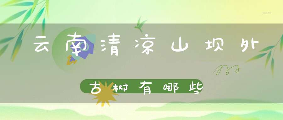 云南清凉山坝外古树有哪些