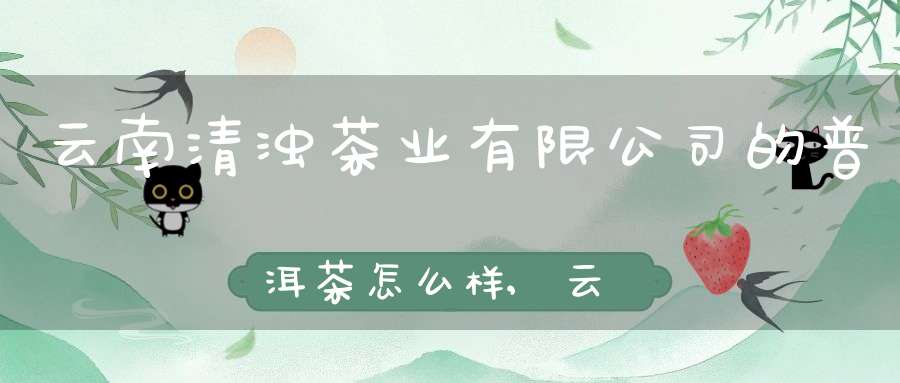 云南清浊茶业有限公司的普洱茶怎么样?,云南清浊茶业有限公司地址