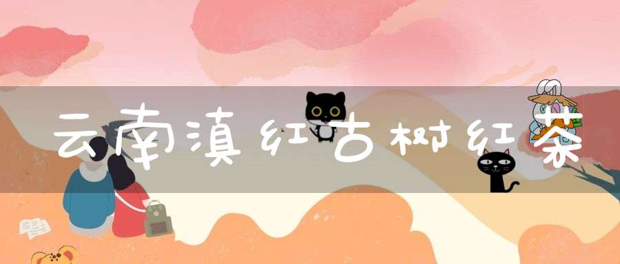 云南滇红古树红茶