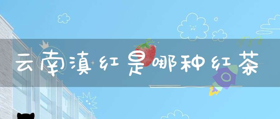 云南滇红是哪种红茶