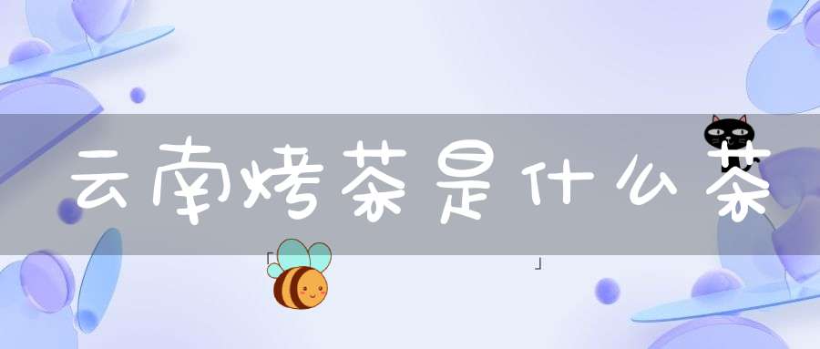 云南烤茶是什么茶