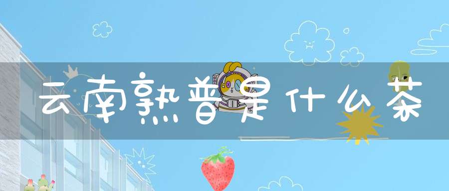 云南熟普是什么茶