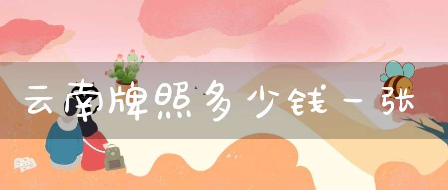 云南牌照多少钱一张